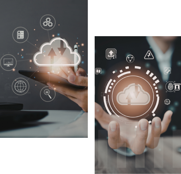 Why Choose Botanivex - Cloud & Workflow Solutions